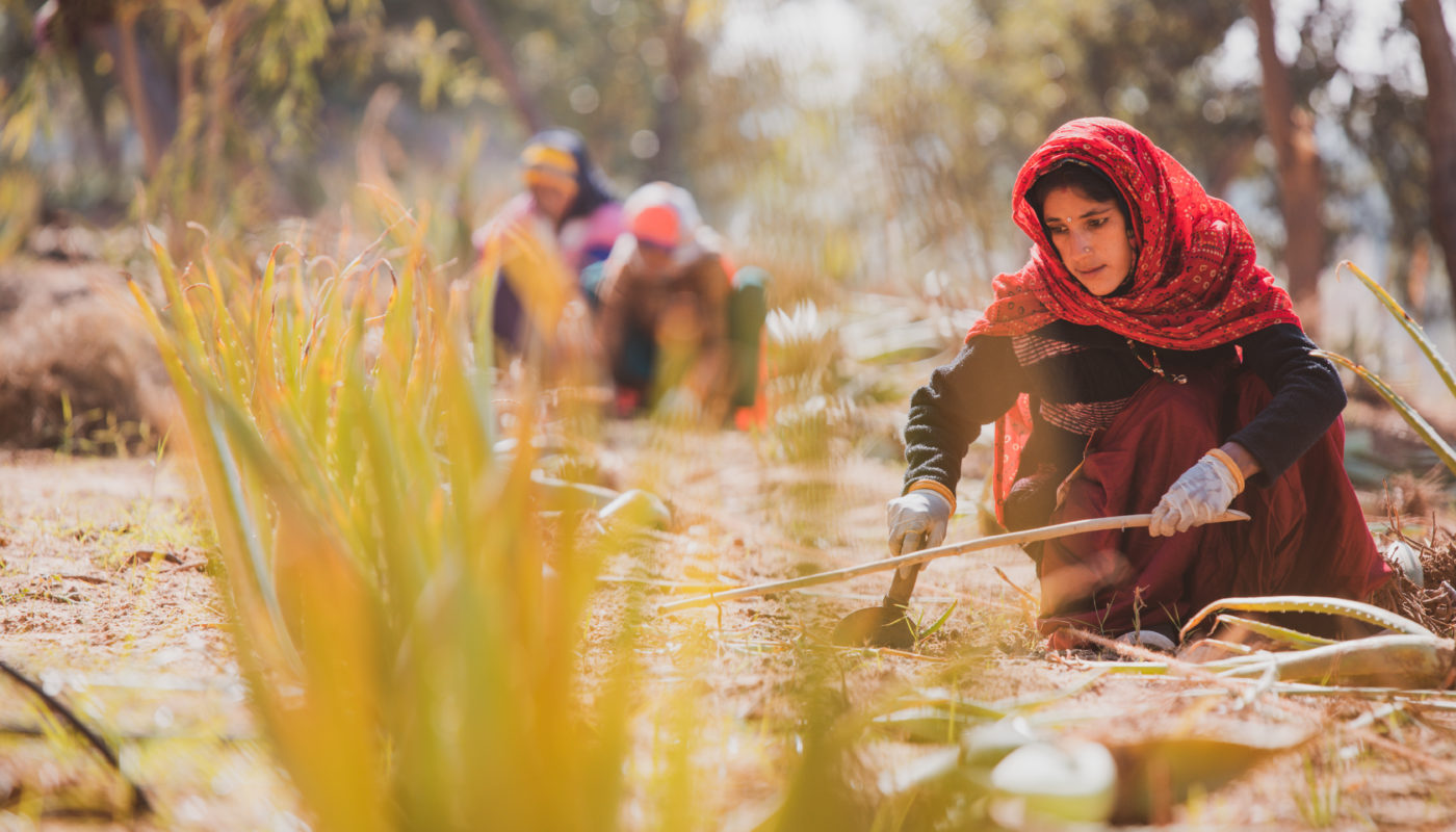 Nutriorg Encourages Women Empowerment