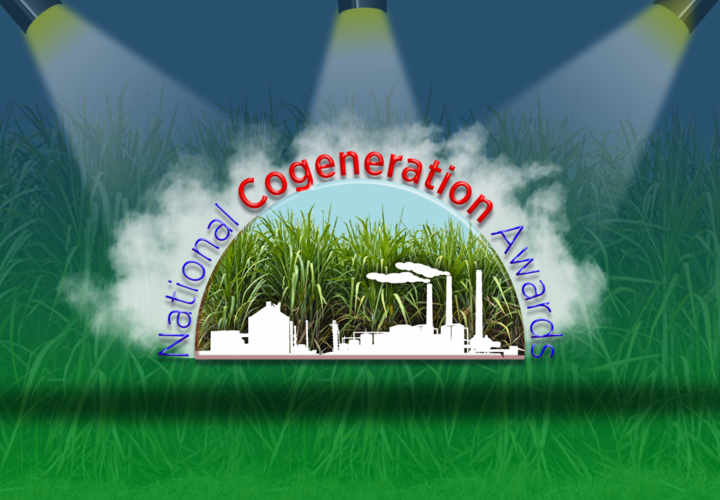 COGENERATION  TO SUPPLEMENT SIGNIFICANT ROLE IN THE HYDROGEN ENERGY INITIATIVES FOCUSED BY THE GOVERNMENT