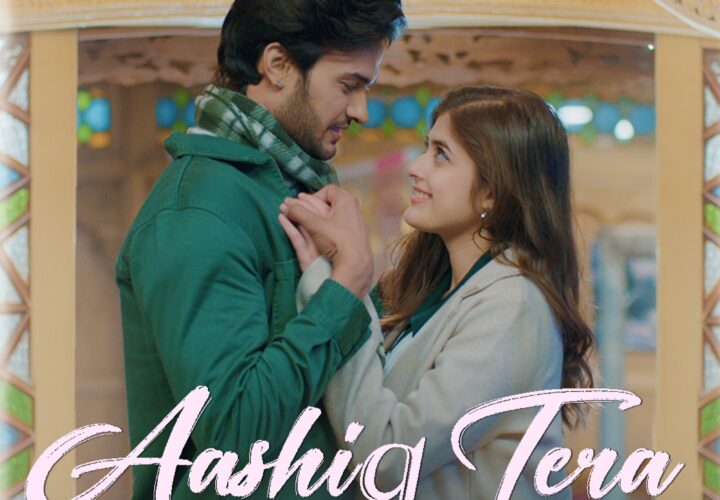 Watch “Aashiq Tera Hone Laga Hun”.A New Melodious Romantic Music Video.