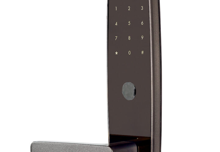 Ensure Hassle-Free Safety of Homes with Digital Locks