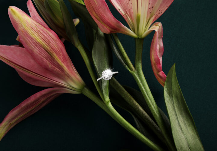 Limelight Diamonds, the First Exclusive CVD Diamond Jewellery Brand Awarded the Prestigious ESG+ Certification by Positive Luxury (UK)