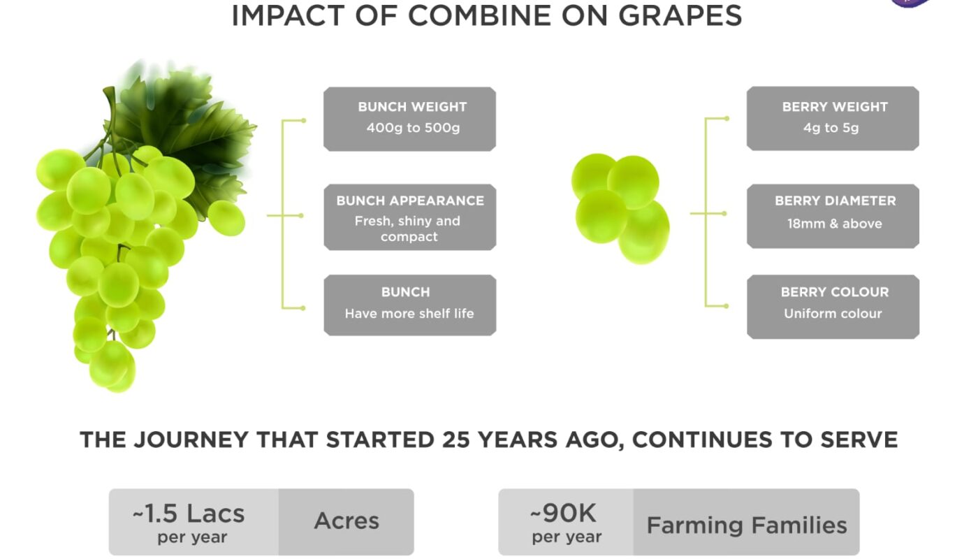 Godrej Agrovet celebrates 25 years of its Biostimulant – Combine