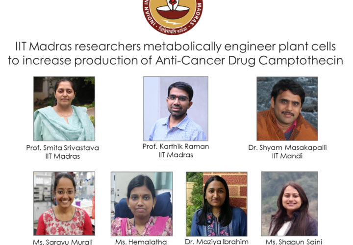 IIT Madras researchers metabolically engineer plant cells to increase production of Anti-Cancer Drug Camptothecin