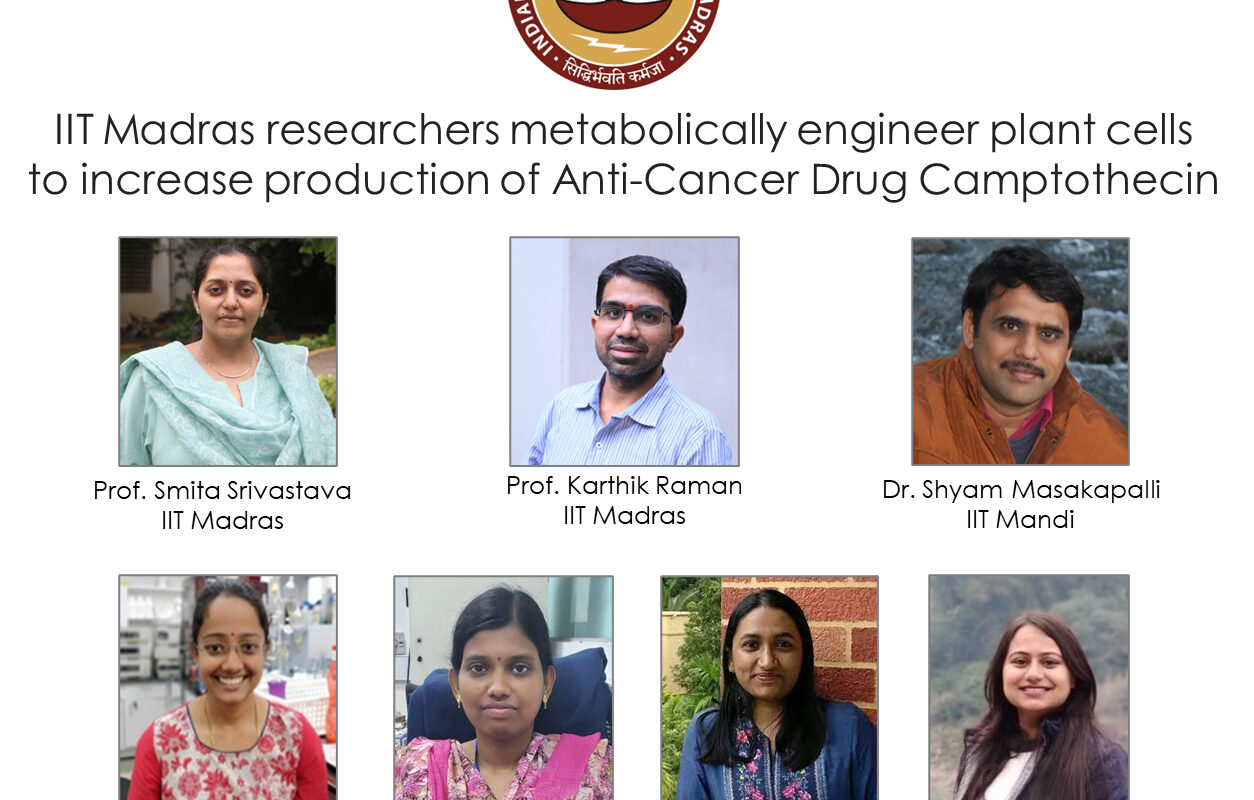 IIT Madras researchers metabolically engineer plant cells to increase production of Anti-Cancer Drug Camptothecin