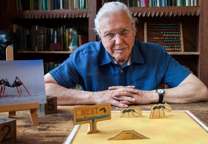 Top shows of Sir David Attenborough to watch exclusively on Sony BBC Earth on his birthday!